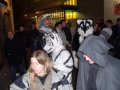 DSCF2656.JPG